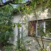 Bolintin Vale - 1000 mp teren, casa 3 camere din 2007, toate utilitatile